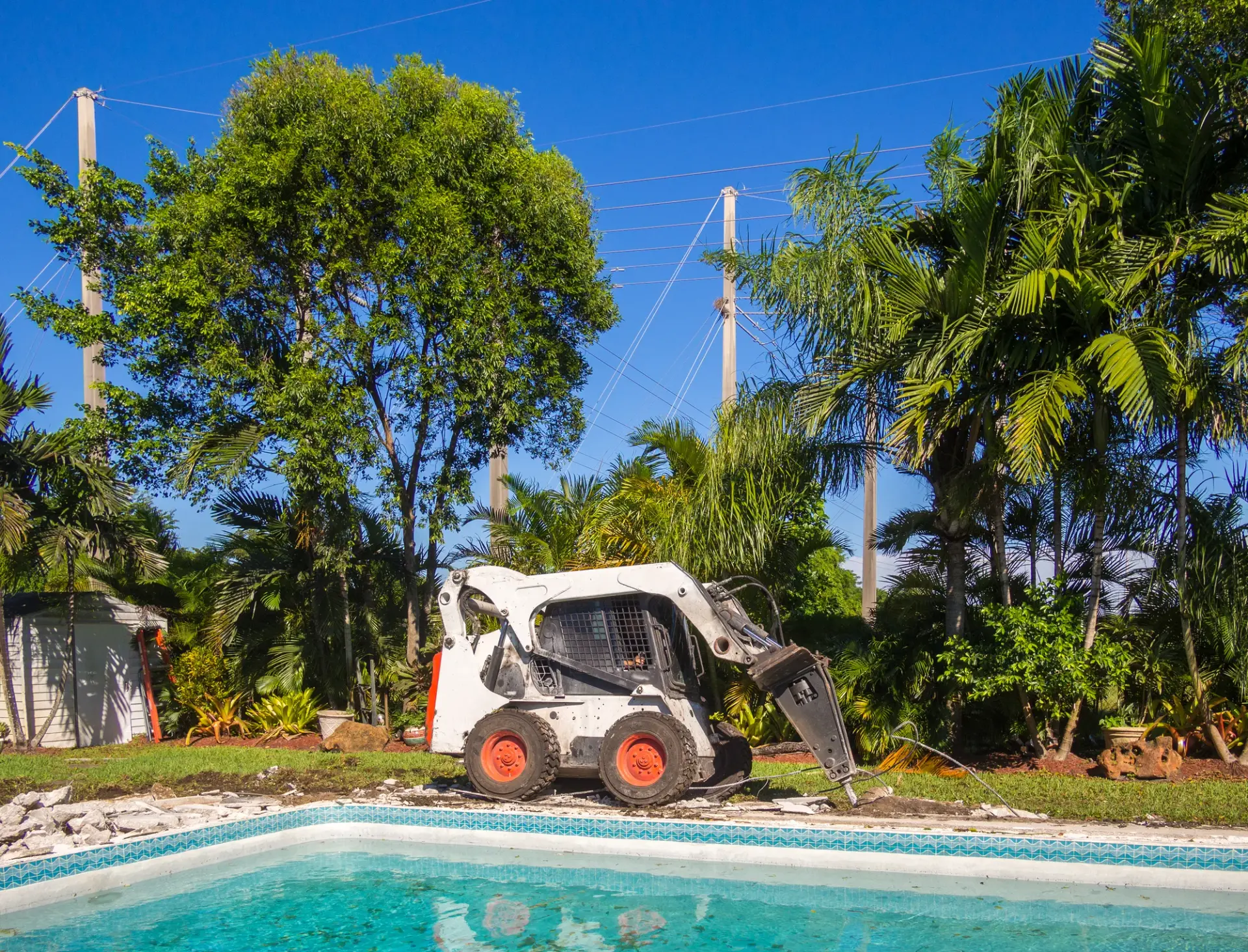 Tree Service